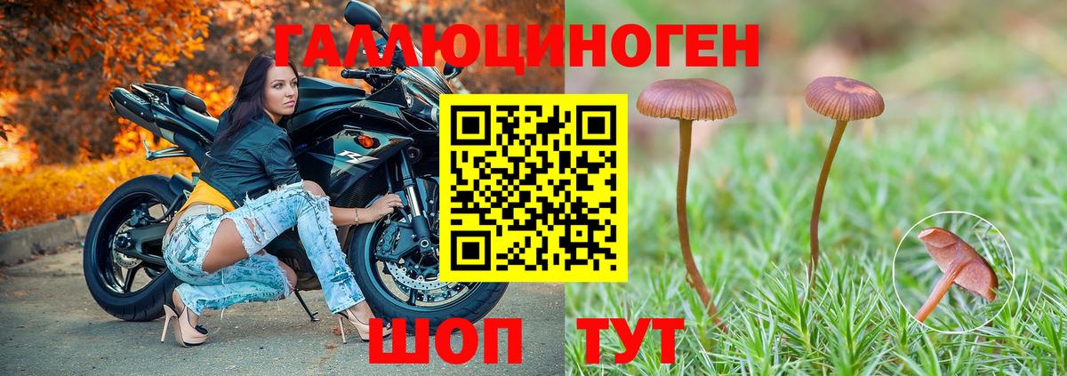 Псилоцибиновые грибы Cubensis Мурманск