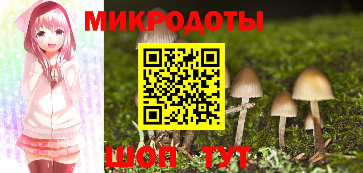 Мурманск  Галлюциногенные грибы Magic Shrooms  Вход с VPN  как найти закладки  Галлюциногенные грибы Psilocybe 